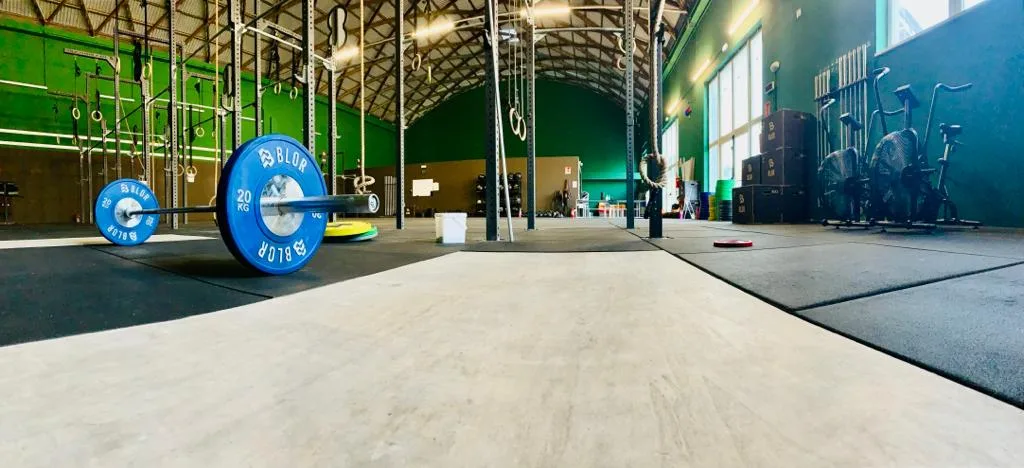 Pavimento e pareti del box
